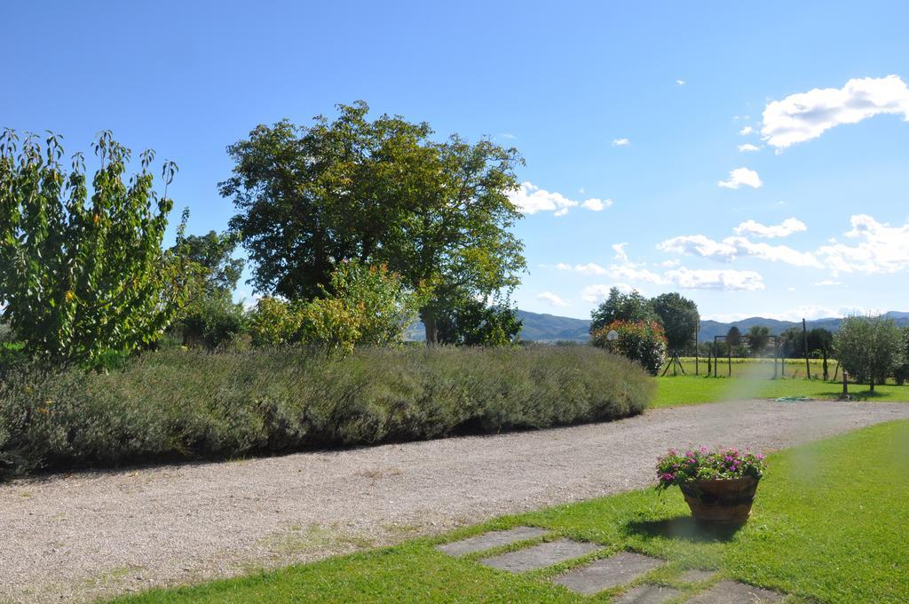 Ca' Matra Villa Lama  Exteriör bild