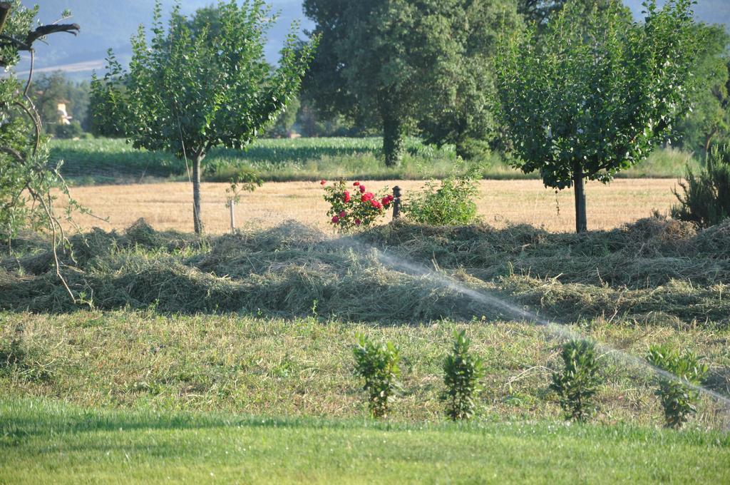 Ca' Matra Villa Lama  Exteriör bild